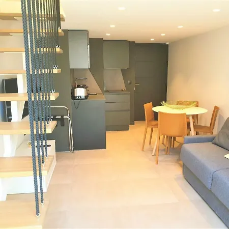 Appartement Duplex Centre 204 *
